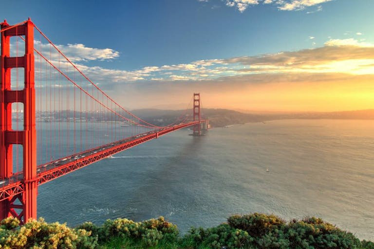 San Francisco, pro-life states