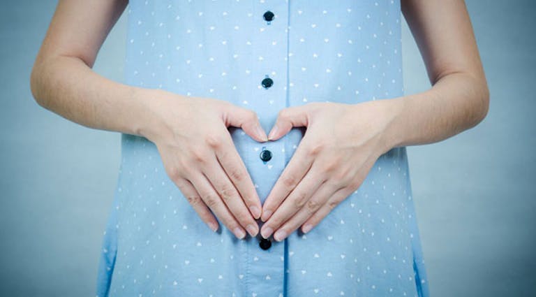Mississippi, abortion, South Carolina
