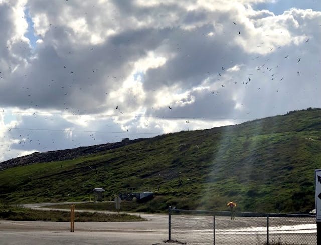 The landfill where Eliana Rose’s remains were taken. Eliana means both “ray of light” and “God has answered.” (Do not reprint photo without express permission of owner.)