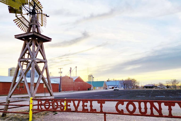 roosevelt county nm