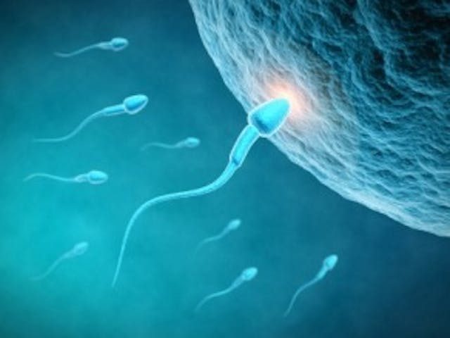 Does the Obama mandate force you to pay for abortions? image