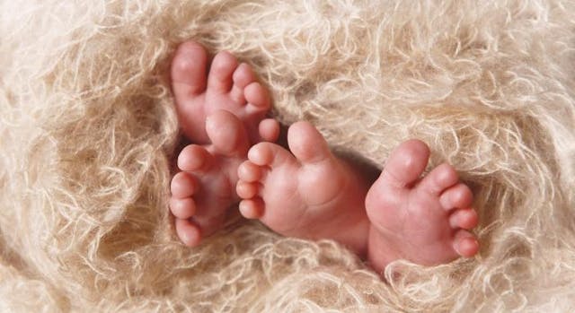 A close up image of the feet of newborn twins, swaddled in a soft blanket. (Getty Images) twins, conjoined twins, abortion