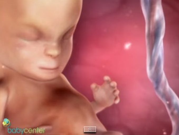 baby-center-video