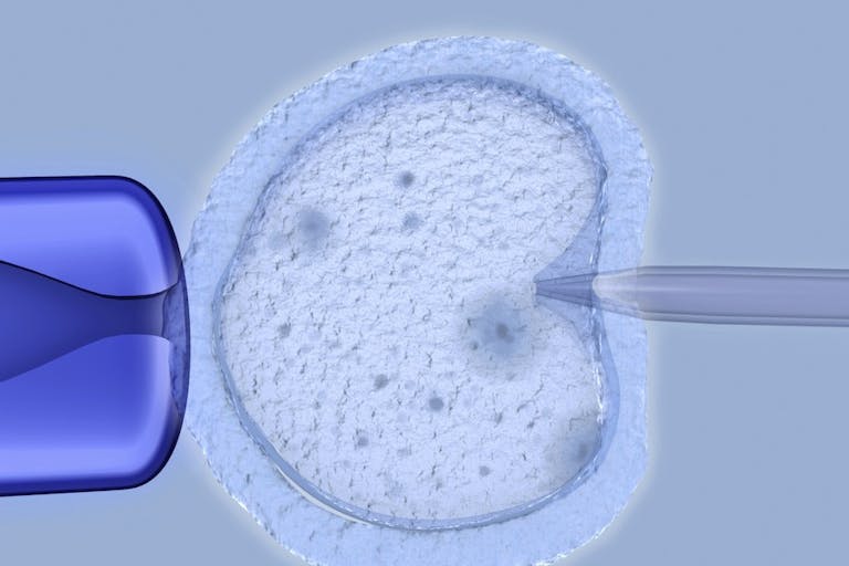 IVF, Hungary, China