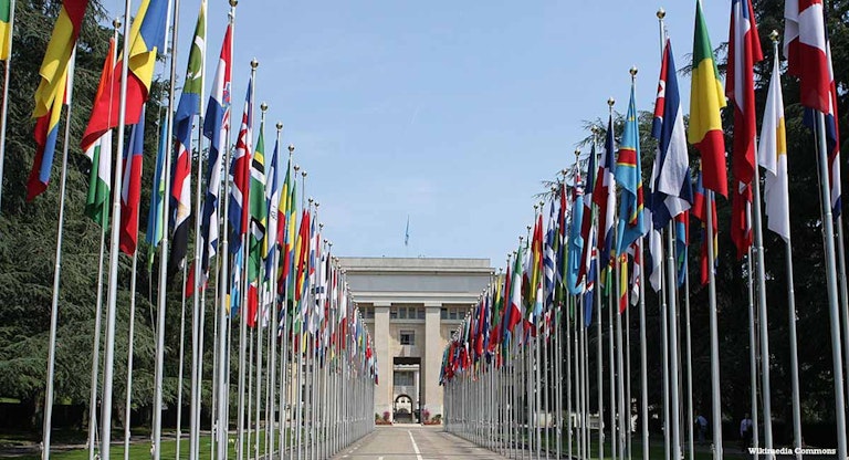 United Nations, euthanasia, iceland, UN