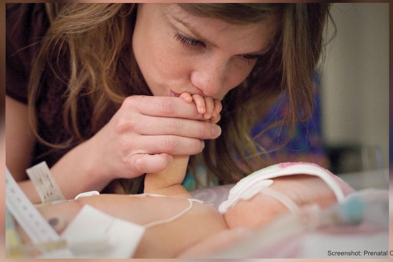 prenatal consult screenshot vimeo