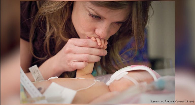 prenatal consult screenshot vimeo