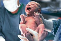 abortion, pro-life