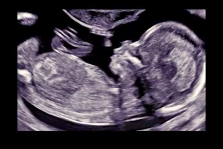 focus on the family see life screenshot