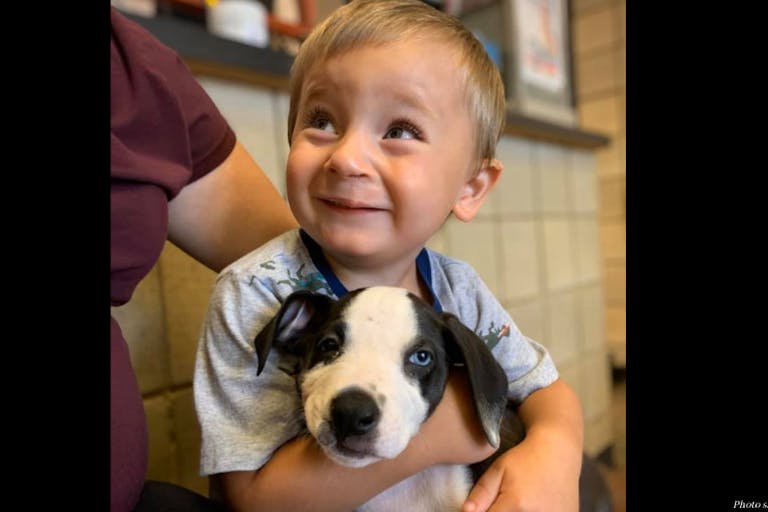 cleft lip, Craniofacial Acceptance Month