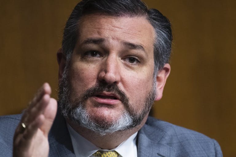 abortion pill, Ted Cruz