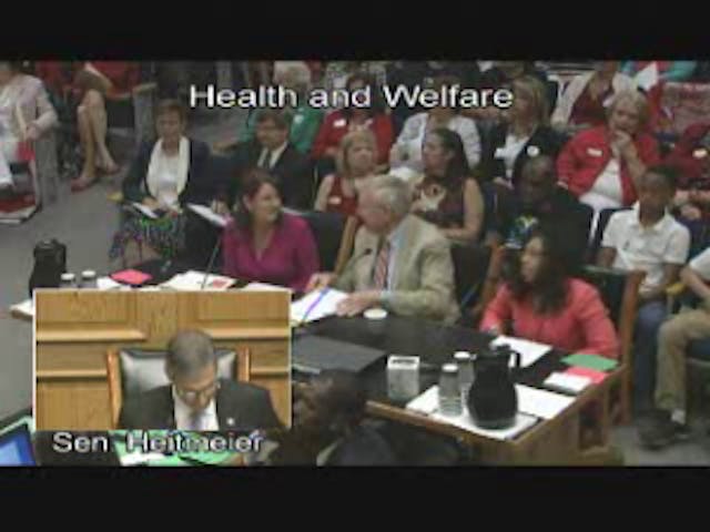Deanna testifying on a pro-life bill before the Louisiana Senate. vlcsnap-2014-05-21-19h24m31s53