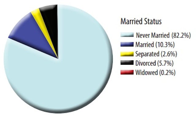 Ohio 2013 abortion report marriage status