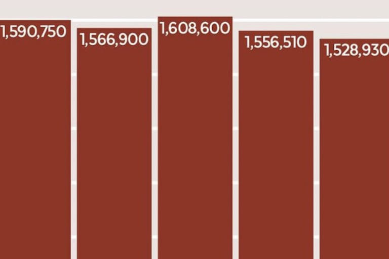 live action instagram abortions