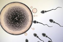 The top pro-life stories of 2017 that moved and inspired us image