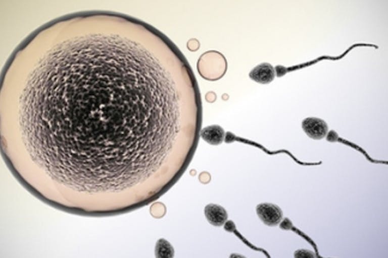 The top pro-life stories of 2017 that moved and inspired us image