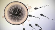 The top pro-life stories of 2017 that moved and inspired us image