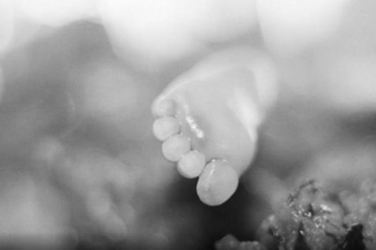 aborted, abortion, reborn, abortionist