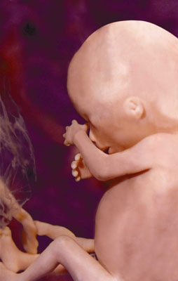 Women who had abortions recall the lies they were told about their preborn children image