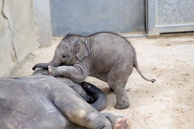Dude, wake up--you're having a nightmare.