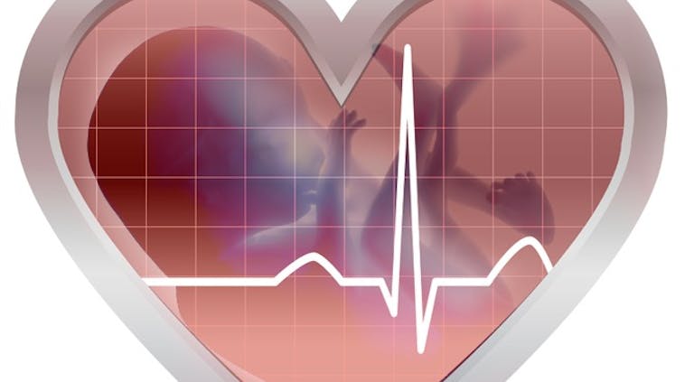 heartbeat-baby