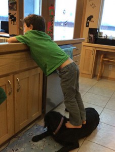 0102-sbs-palin-son-on-dog-facebook-4