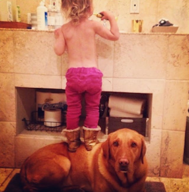 Source: The Ellen DeGeneres Show Facebook page. 10517550_10152602026212240_5446525939227889681_n