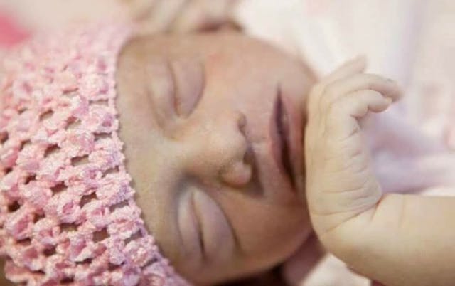 Charlotte Rose Charlotte Rose