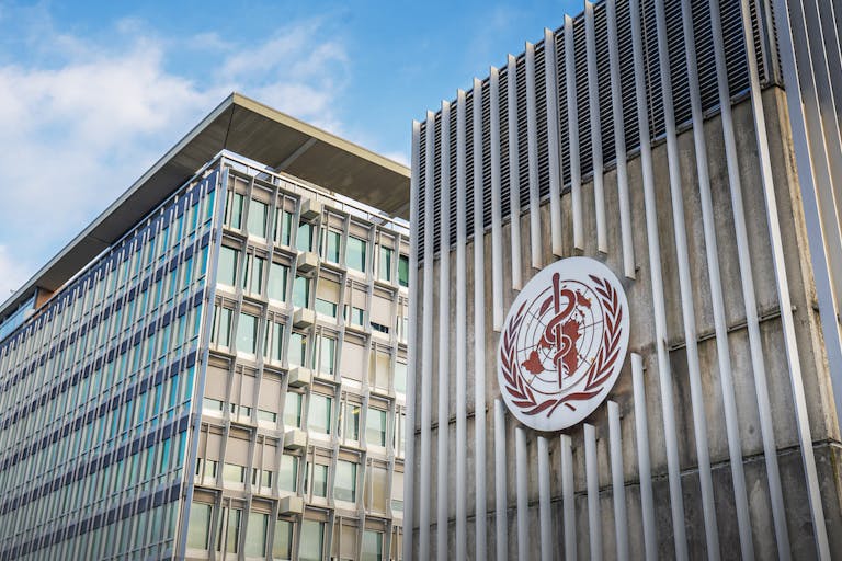 World Health Organization, abortion