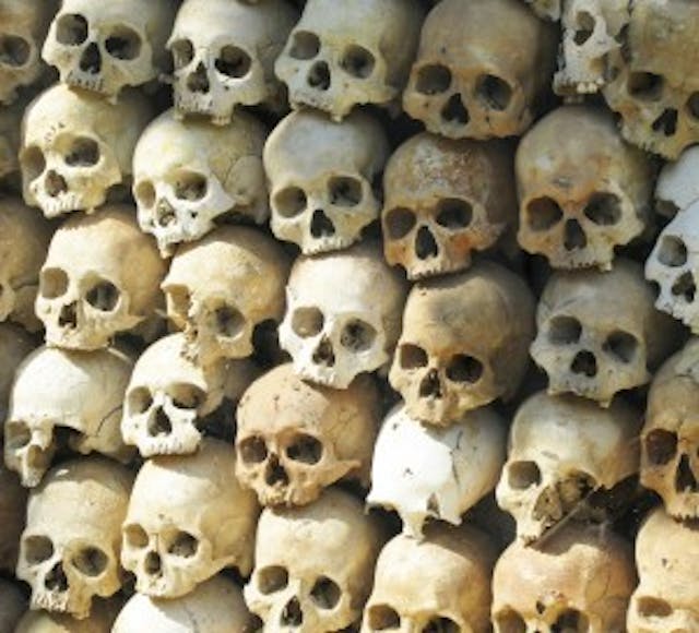 Skulls