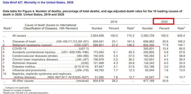 CDC Top Leading causes of death in 2020 Image: CDC Top Leading causes of death in 2020
