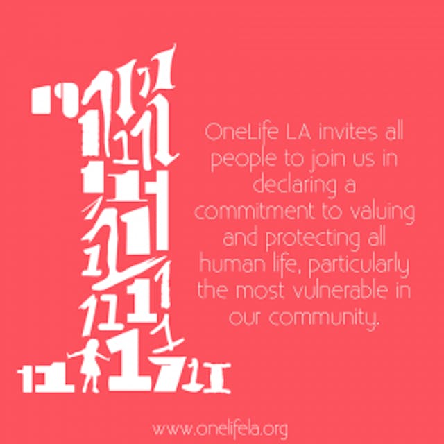 One Life LA