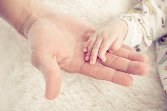 adult-baby-hands