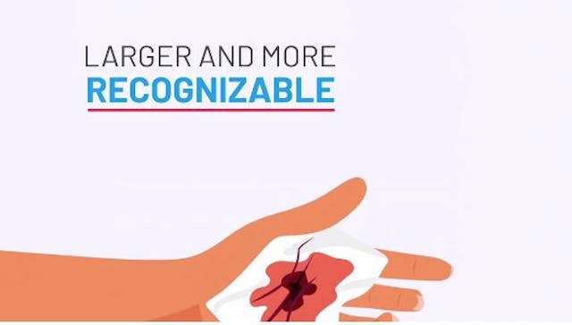 Screenshot from HowtoUseAbortionPill.com Lesson 4 video inaccurately depicts a baby late in pregnancy. abortion pill