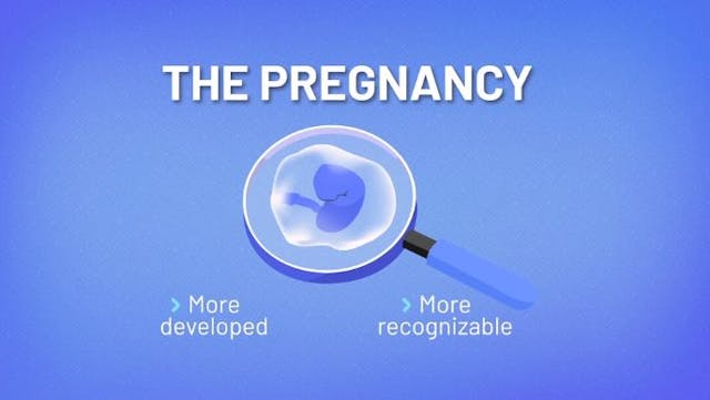 Seeing a baby struggling to survive after abortion could be ‘upsetting,’ says instructional video image