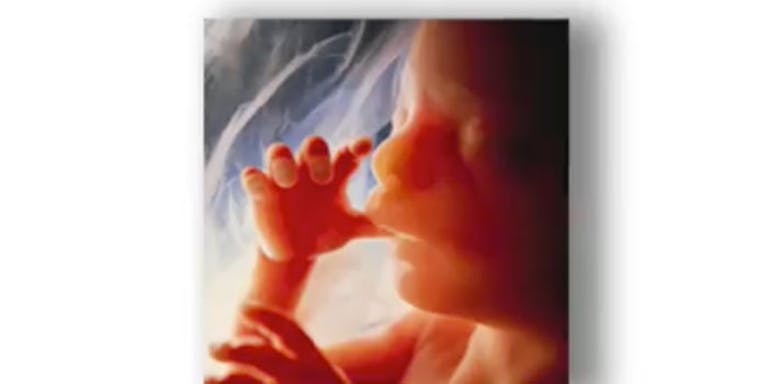 trent-franks-facts-first-2