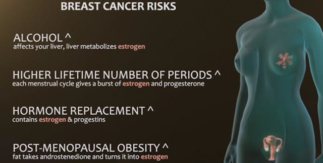 Breast cancer risks tied to estrogen (screenshot: “Hush: the Documentary”) Pro-choice filmmaker stunned to learn these 3 facts about breast cancer and abortion image