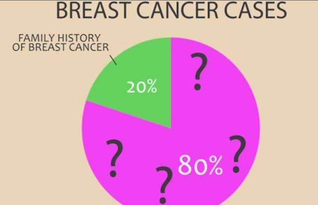 80 percent of breast cancer cases unknown (image: Hush: the Documentary) Pro-choice filmmaker: It’s ‘ludicrous’ to entirely deny a link between abortion and breast cancer image