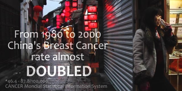 Pro-choice filmmaker: It’s ‘ludicrous’ to entirely deny a link between abortion and breast cancer image