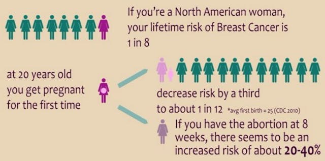 Breast cancer risk North America (screenshot: “Hush: the Documentary”) Pro-choice filmmaker stunned to learn these 3 facts about breast cancer and abortion image