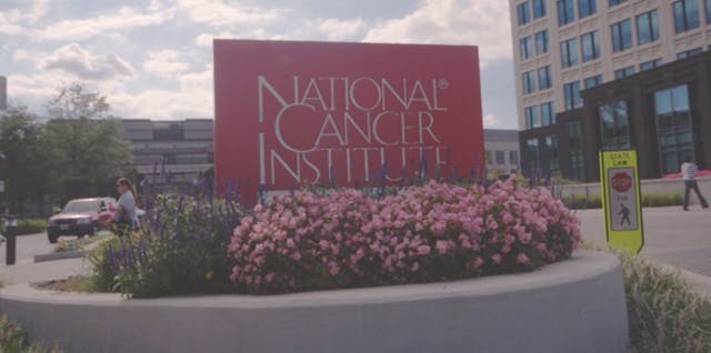 Cancer Institute escorts pro-choice filmmaker out after she questions denial of abortion-breast cancer link image