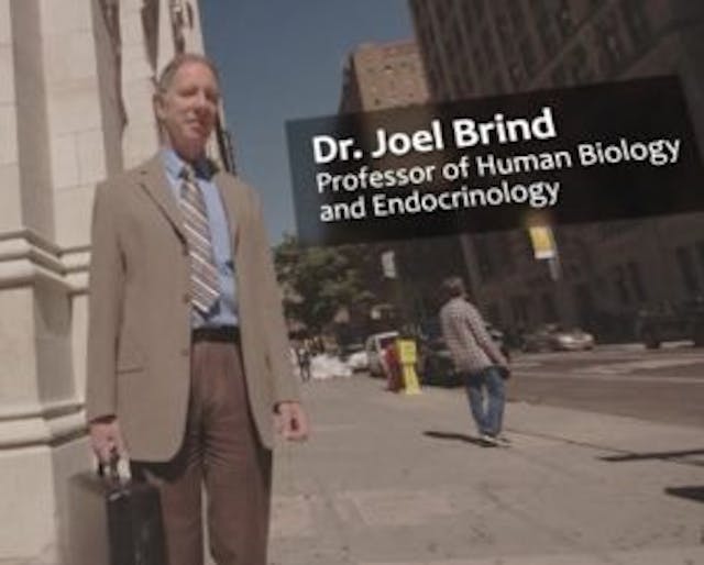 Dr Joel Brind Experts address link between abortion and breast cancer in powerful documentary film image
