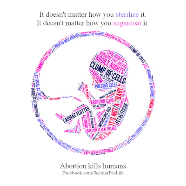 The pro-choice view survives on widespread ignorance of biology image