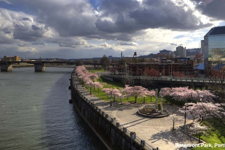 Portland, free speech