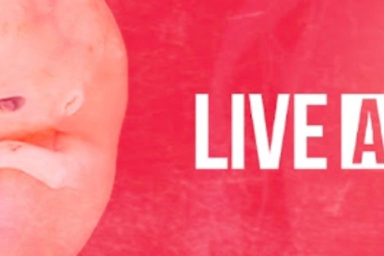 live action banner screenshot