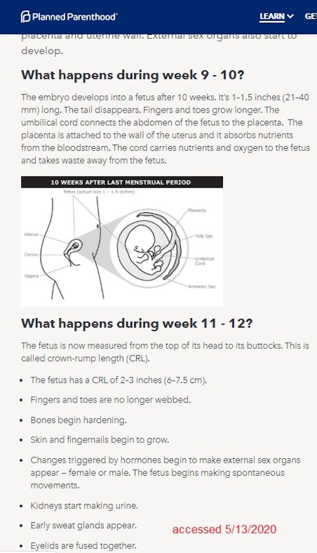 Planned Parenthood fetal development 9 to 12 weeks (accessed 5132020) Image: Planned Parenthood fetal development 9 to 12 weeks accessed 5132020