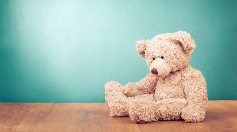 bear