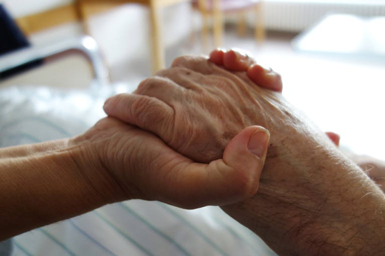 euthanized, euthanasia, elderly