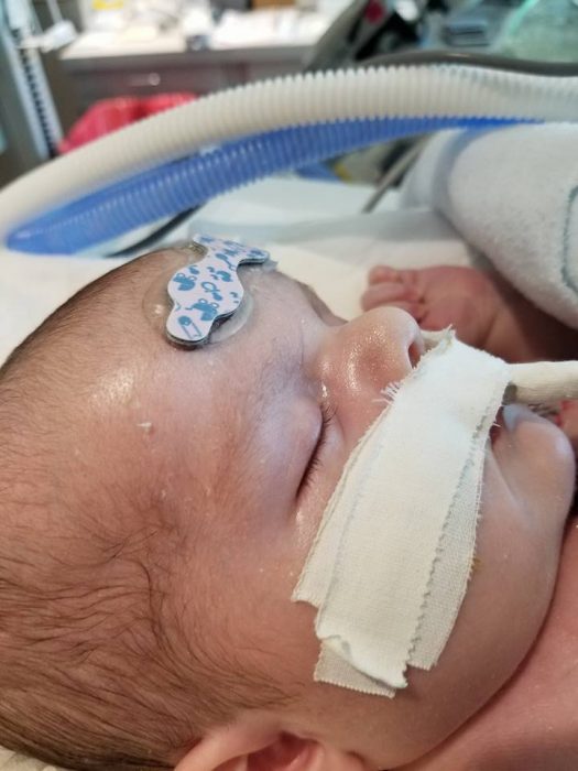 Image via Luis Licea’s Facebook