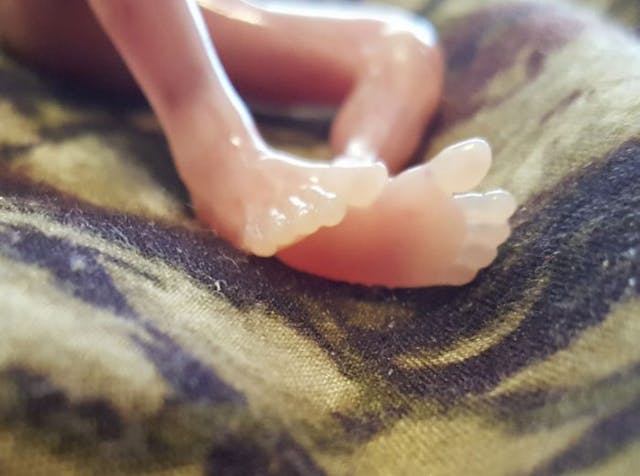 Photo by Felicia Cash. Used with permission. Mother shares photos of baby miscarried at 14 weeks: ‘He is very obviously human’ image